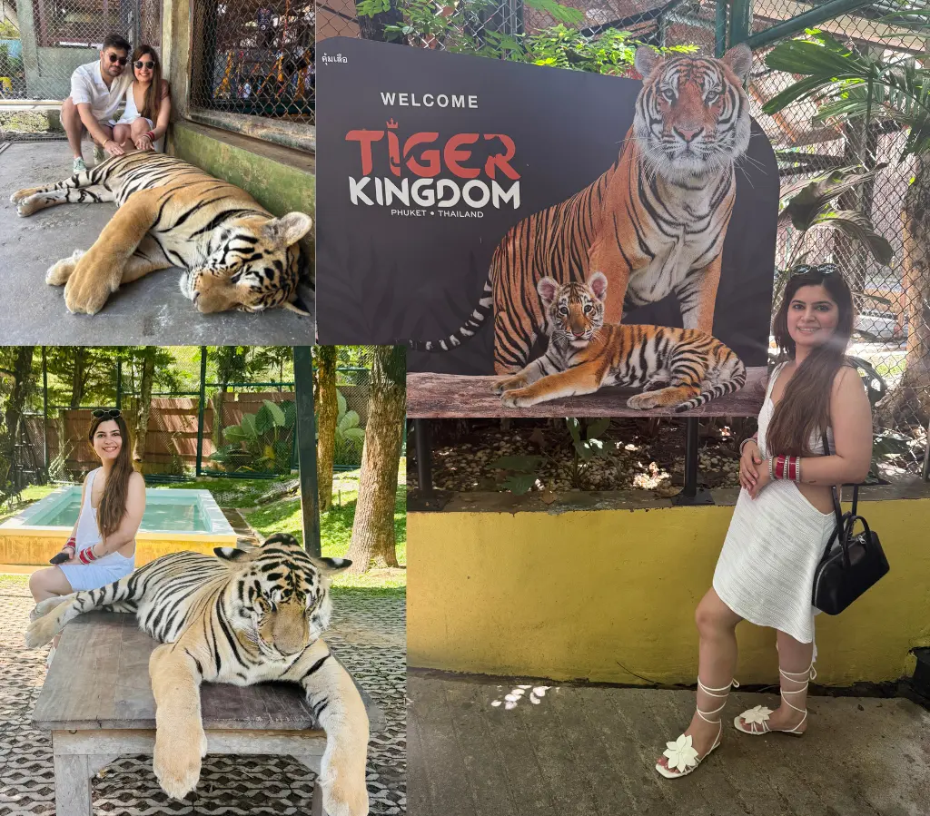 HeenaInTheWonderland's Heena in Phuket - Tiger Kingdom precisely