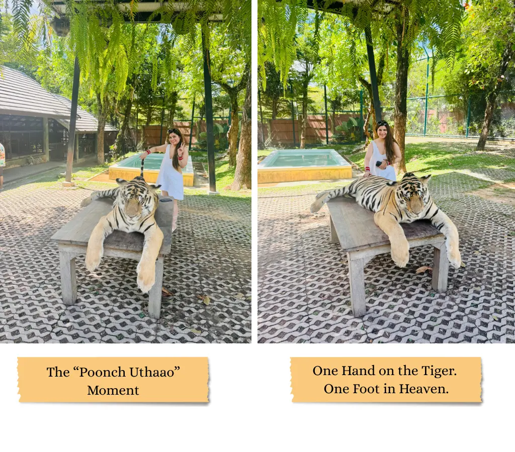 Heena In Phuket Tiger Park