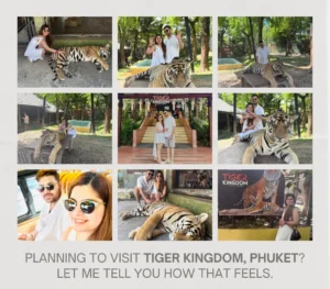 Heena In Her Wonderland: This time in Tiger Kingdom, Phuket, Thailand