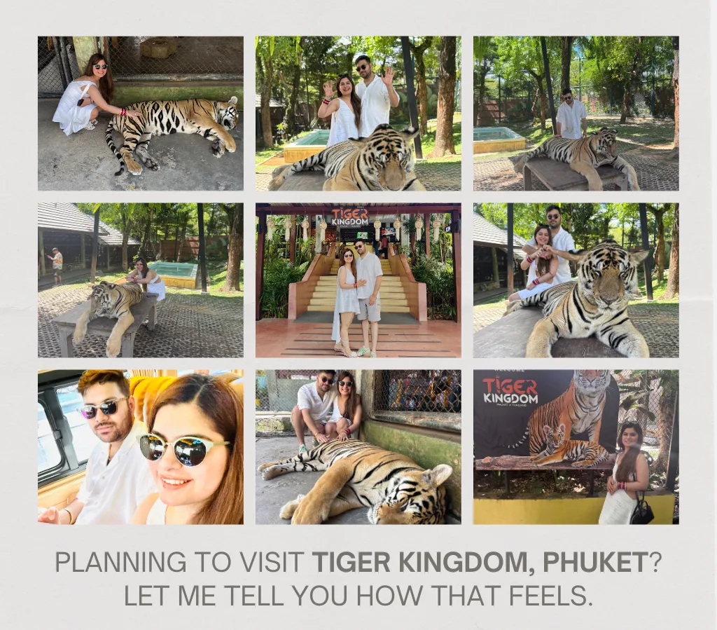 Heena In Her Wonderland: This time in Tiger Kingdom, Phuket, Thailand